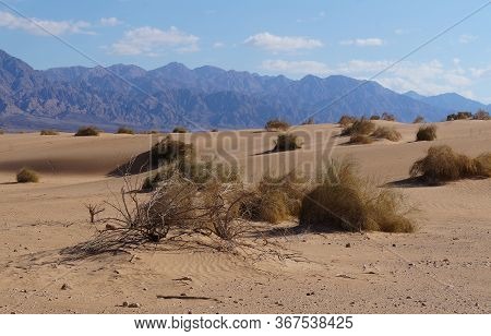 Sand Dunes In The Desert, Selective Focus
