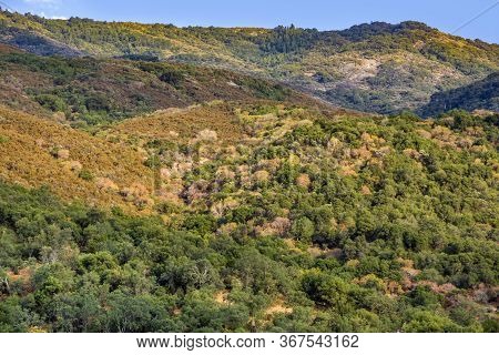 Scenic Landscape In Sequoia National Park With River Kaweah