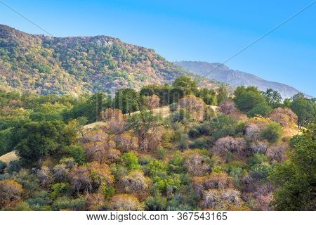 Nice Landscape With Colorful Bushesand Trees  Near Three Rivers At The Entrance Of The Sequoia Natio