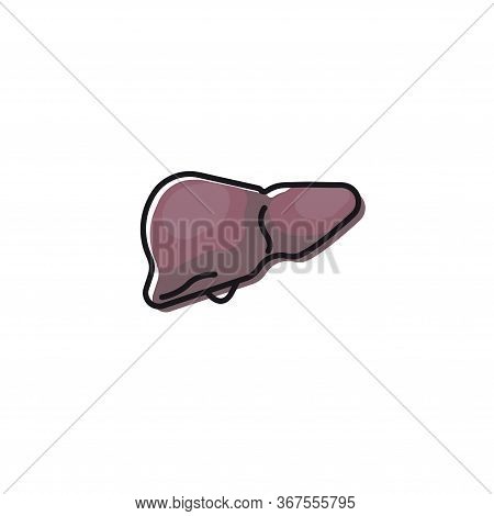 Human Liver. Liver Color Icon. The Human Body Liver