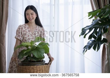 Asian Girl Water The Plants In House, This Image Can Use For Calathea Orbifolia, Water The Plants, F