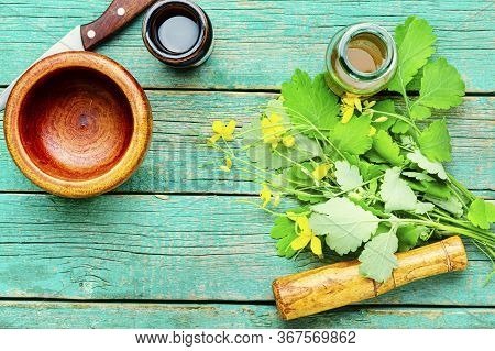 Celandine In Herbal Medicine