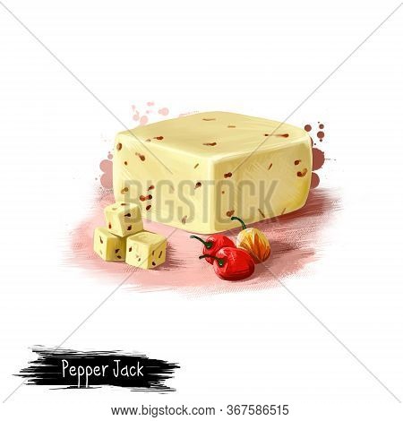 Pepper Jack Cheese With Red Chilli Digital Art Illustration Isolated On White Background. Fresh Dair