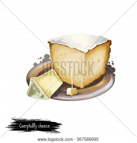Caerphilly Cheese On The Plate Digital Art Illustration Isolated On White Background. Fresh Dairy Pr