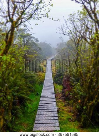 A Wooden Track At The Greenstone Track