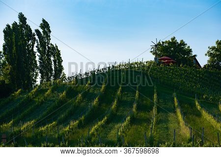 Austria Vineyards Sulztal Weinstrasse South Styria Tourist Spot, Wine Country Places To See