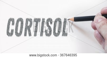 Title Cortisol Written On A Page And Hand With Pencil. Hormones Healthcare Medical Concept