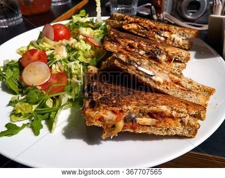 Grilled Panini Sandwich Toast With Tomato And Cheese Served With Freshly Cut Salad
