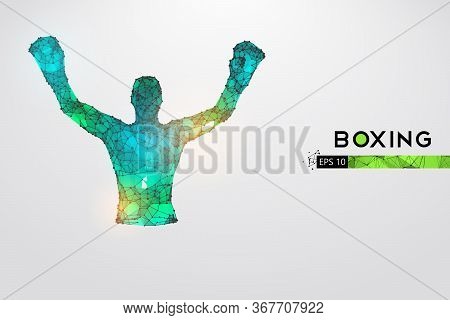 Abstract Silhouette Of A Wireframe Boxer Fighter With Boxing Gloves On The White Background. Boxer I