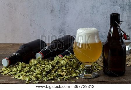 Glass Of Craft Pale Ale With Beer Growlers And Green Dry Hops. Home Brewing. Copy Space.
