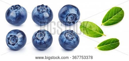 Set Of Fresh Blueberries And Blueberry Leaves Isolated On White Background.