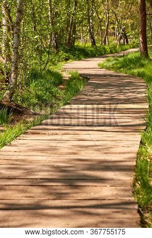 Wooden Path Through The Venner Moor, A Nature Reserve In The Municipality Of Senden In North Rhine-w