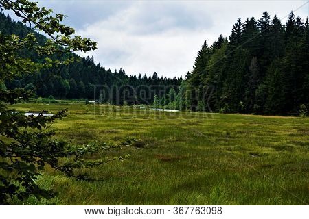 Lac De Lispach - Bogland In The Vosges , France