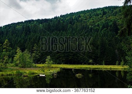 Black Water With Almost Black Trees - Lac De Lispach, La Bresse, France