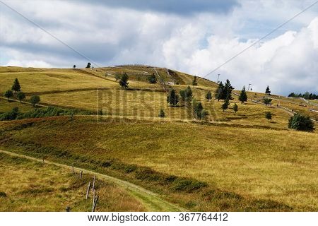 Summer Bob Track On Le Markstein Mountain In The Vosges, France