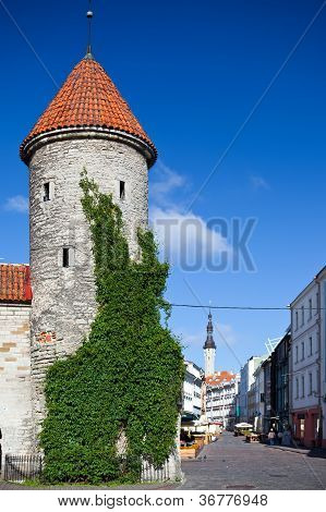 Eski şehir. Tallinn Estonya Viru kapı girişinde