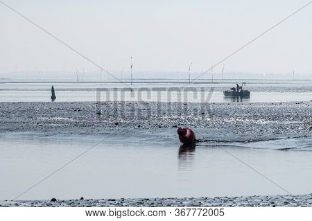 Coastline In Zeeuwse Village Yerseke With Famous Oysters Wells During Low Tide, Zeeland, Netherlands