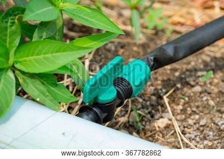 Pvc Ball Valve On Ground For Watering Systems.drip Ball Valve For Planting.