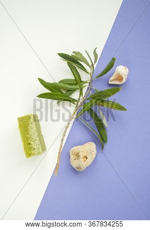 Flat Lay Of An Olive Branch, Handmade Olive Soap Bars And Sea Shells On Purple And White Background.