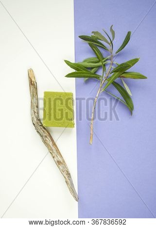 Flat Lay Of An Olive Branch, Handmade Olive Soap Bars And Sea Shells On Purple And White Background.