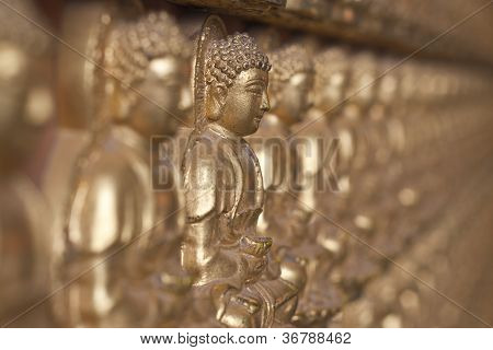 Buddha statue Looking at the temple in Thailand.