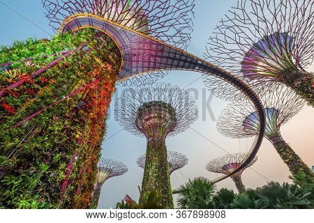 SINGAPORE - SEPTEMBER 5, 2015: Supertrees at Gardens by the Bay. The tree-like structures are fitted with environmental technologies that mimic the ecological function of trees.