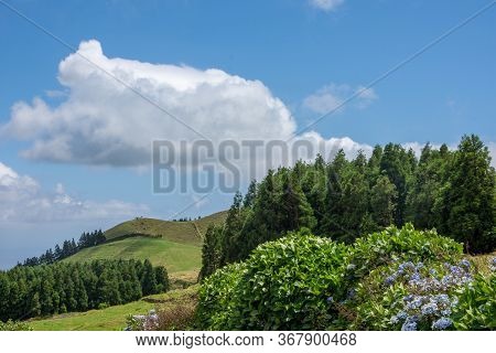 Walk On The Azores Archipelago. Discovery Of The Island Of Sao Miguel, Azores.