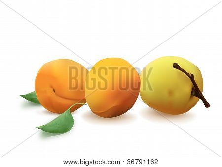 Abricots