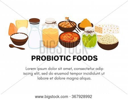 Vector Probiotic Foods. Best Sources Of Probiotics. Beneficial Bacteria Improve Health. Design Is Fo
