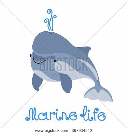 Young Cute Funny Grey Dolphin With Baby Face, Smart Marine Animal, Smile Emotion, For Logo Or Emblem