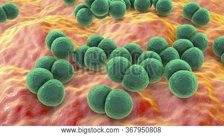Bacteria Streptococcus Pneumoniae, 3d Illustration. Gram-positive Diplococci, The Causative Agent Of