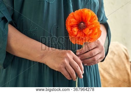 Woman In Green Dress Holding Poppe Flowers, Close Up On Her Hands. Spring Time Dreams.