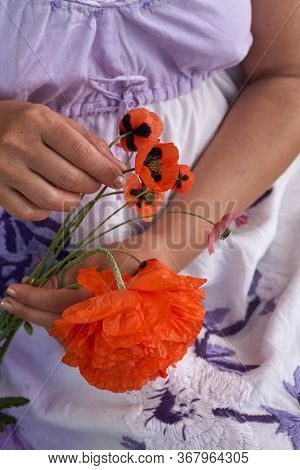 Woman In Blue Dress Holding Poppe Flowers, Close Up On Her Hands. Spring Time Dreams.