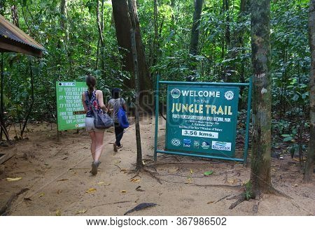 Puerto Princesa, Philippines - November 29, 2017: Tourist Visits Jungle Trail At Puerto Princesa Sub