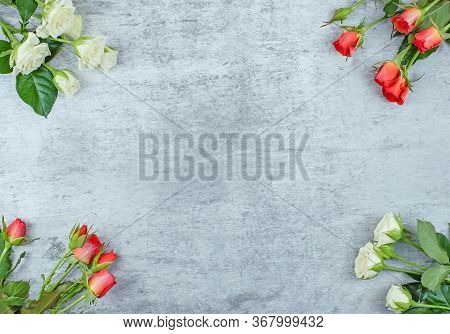 Red And White Roses Flatlay On Blue Concrete Backround With Copy Space As Greeting Card Concept