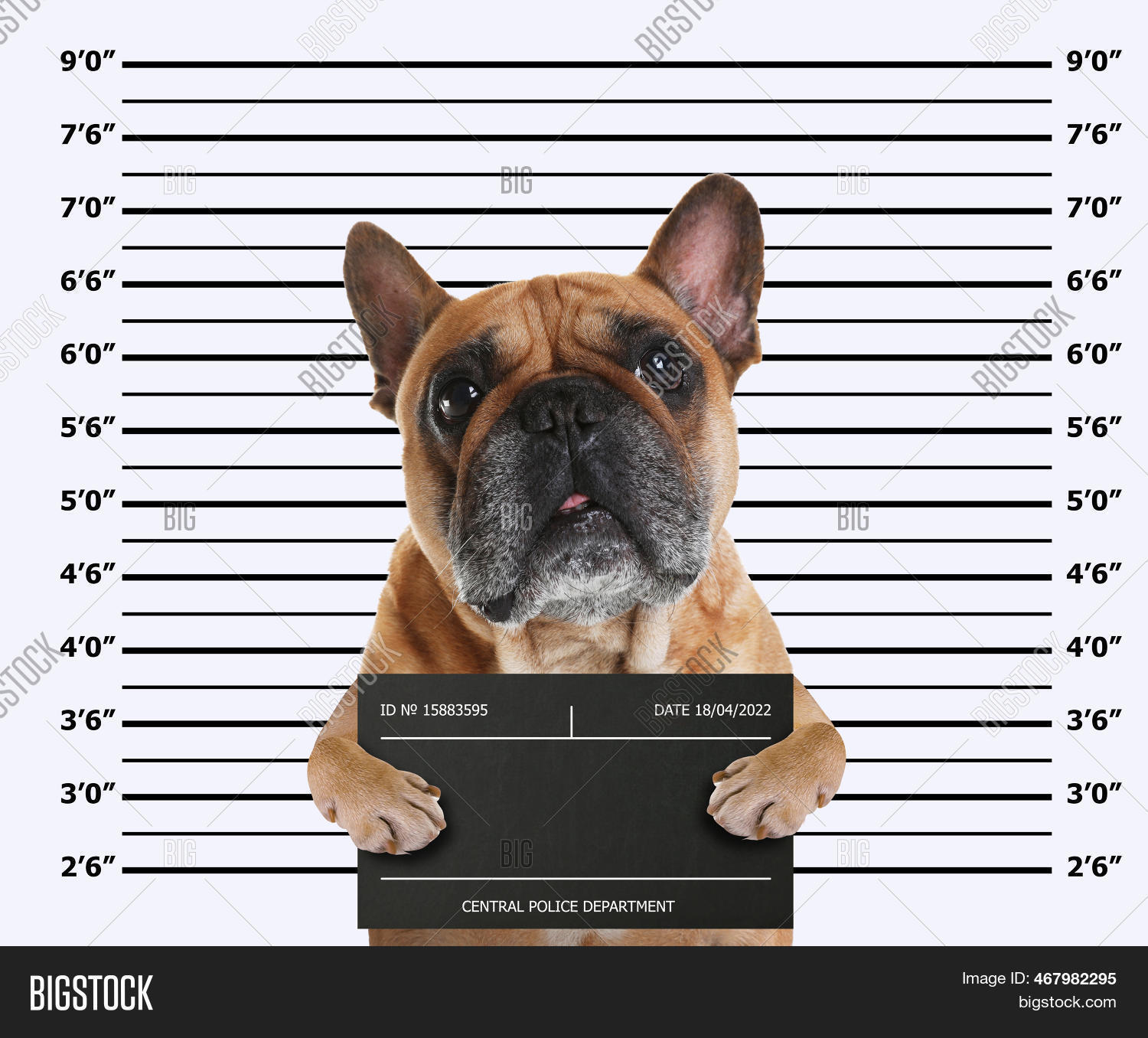 Arrested French Image & Photo (Free Trial) Bigstock