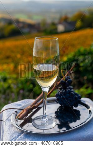 Tasting Of Premier Cru Sparkling White Wine With Bubbles Champagne On Outdoor Terrace With View On C