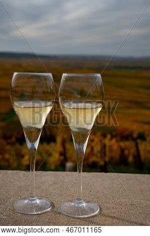 Tasting Of White Brut Champagne Wine Outdoor With View On Colorful Autumn Pinot Noir Grand Cru Viney