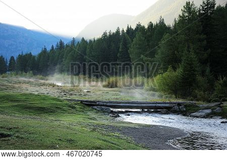 A Small Footbridge Across A Shallow Riverbed Flowing Along The Edge Of A Coniferous Forest On An Ear