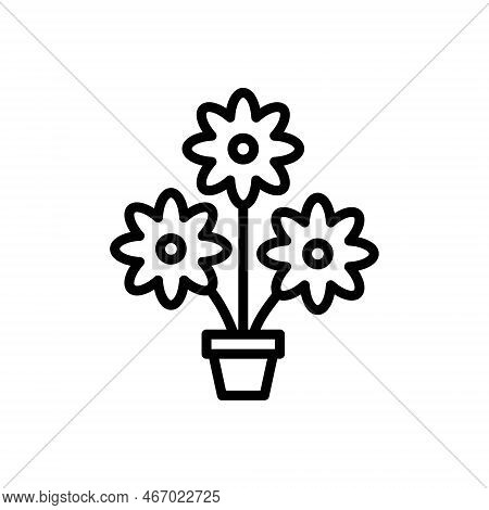 Black Line Icon For Flowers Bloom Garden-stuff Floweret Floret Plant Natural Flora