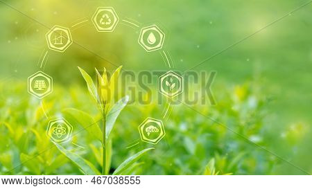 Reduction Of Co2 In Atmosphere, Environmental Protection, Ecology Concept. Industrial Pipes In Symbo