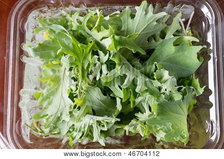 Frisk Mesclun Greens