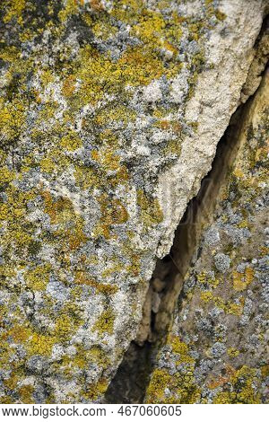 Big Crack On Old Wall Covered With Colorful Moss, Abstract Image Of Diagonal Cleft. Close-up. Vertic