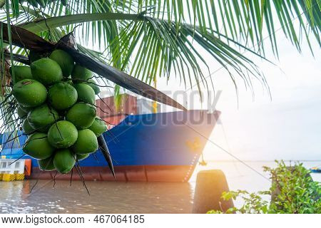 Cargo Ship Carrying Merchandise Through The Caribbean Sea, Coconuts Is In The Foreground