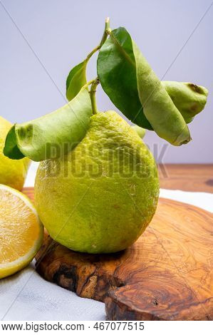 Variety Of Citrus Fruits, Bergamot And Lemon Citron Cedrate Or Citrus Medica, Large Fragrant Citrus