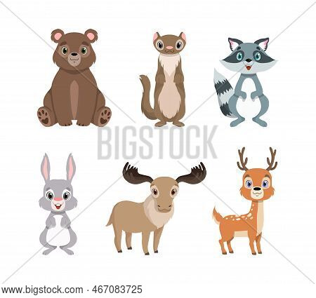 Cute Woodland Animals With Hare, Bear, Weasel, Raccoon, Elk And Deer Vector Set