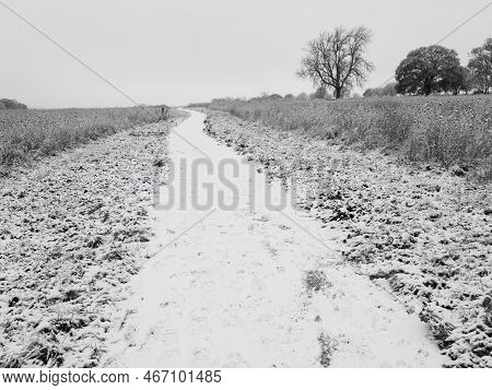 A Frosty And Snowy Path Across Open Ground Captured In December In The Uk. Frost Folley Bracknell Be