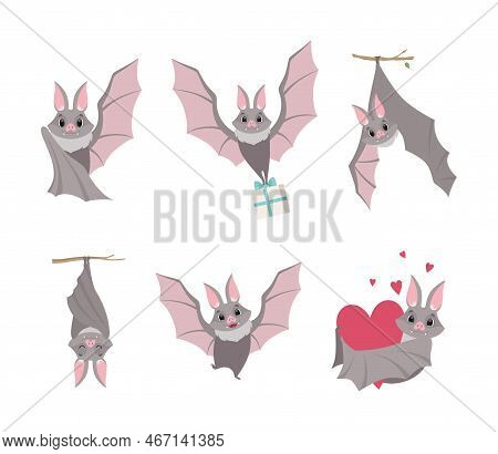 Funny Gray Bat With Cute Snout Flying With Gift Box, Holding Heart And Hanging On Tree Branch Vector