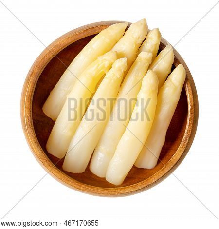 Potted White Asparagus Tips In A Wooden Bowl. Group Of White, Blanched Asparagus Officinalis Shoots.