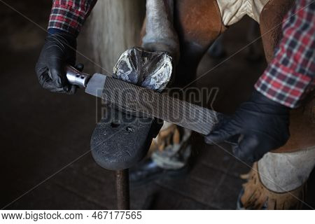 Male Hands Blacksmith In Black Gloves File Cleans On Iron Horseshoe On Horses Hoof Close Up